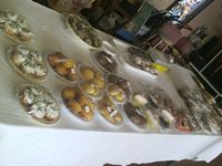 CraftShow 13